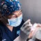 How Does Implant Technique Influence Success in Hair Transplant?